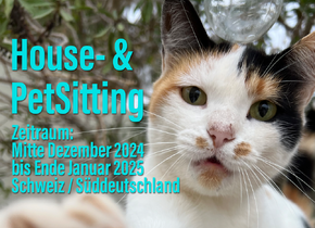 Biete Housesitting zwischen Mitte Dezember und Ende...