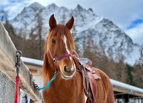 Reiten & Yoga Retreats