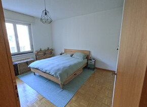 Möbilierte 3 Zi.Wohnung im Kreis 5 inkl. Reinigung alle...