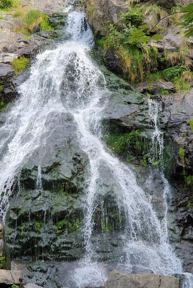 Waldbaden Thema Wasser