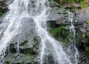 Waldbaden Thema Wasser