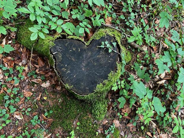 Waldbaden Thema Holz