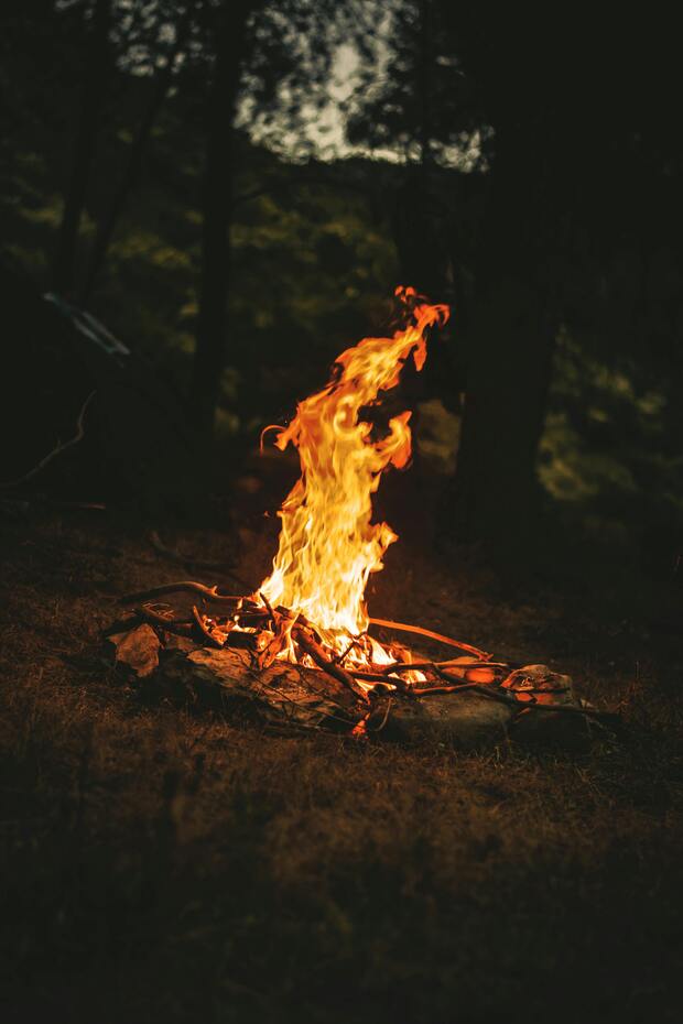 Waldbaden Thema Feuer