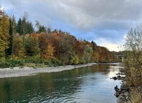 2.5 Zi Traumwohnung an der Aare möbliert in Untermiete