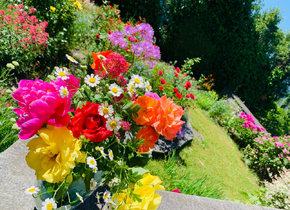 Wunderschöne 3.5-Gartenwohnung am Zürichberg/ Beautiful...