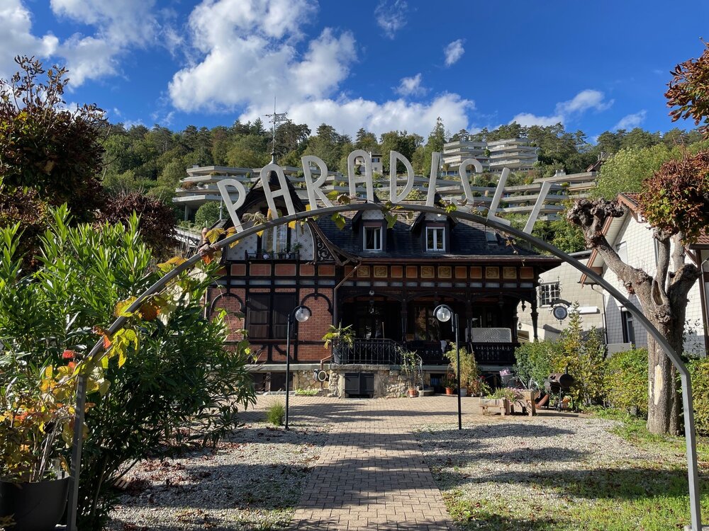 Zentrale Loftwohnung mit Gartenanteil im Paradisli