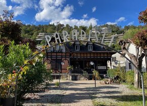 Zentrale Loftwohnung mit Gartenanteil im Paradisli