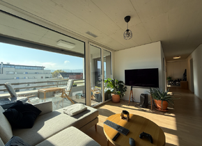 Bright, Fully-Furnished 3-Room Apartment in Zurich...