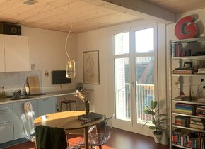 Cozy 2 Zimmer Wohnung in Helvetiaplatz!