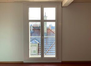 Cozy 2 Zimmer Wohnung in Helvetiaplatz!