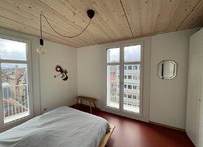 Cozy 2 Zimmer Wohnung in Helvetiaplatz!