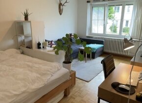 1-Zimmerwohnung befristet (1. Jan - 30. April)