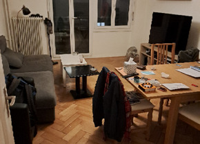 3 Zimmer Wohnung im Breitenrainquartier