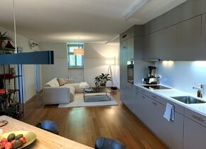 Loftartige Wohnung am Limmatplatz zur Untermiete (Jan/Feb...