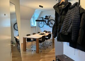 Loftartige Wohnung am Limmatplatz zur Untermiete (Jan/Feb...