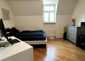 Loftartige Wohnung am Limmatplatz zur Untermiete (Jan/Feb...