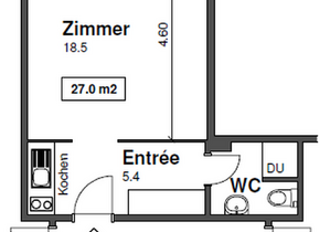 1-Zimmerwohnung an der Sense