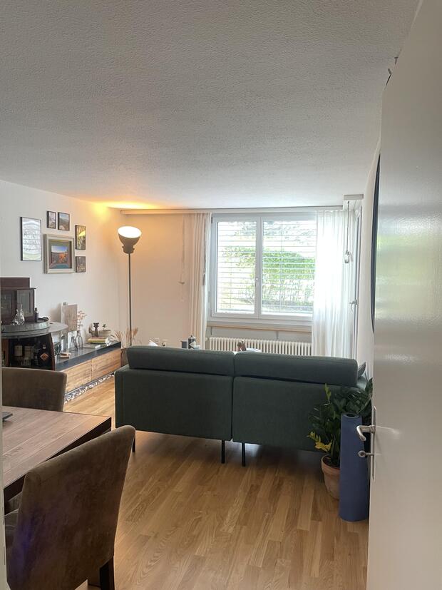 3 Zimmer Terassen Wohnung zu vermieten!