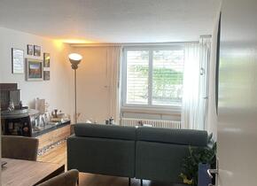 3 Zimmer Terassen Wohnung zu vermieten!