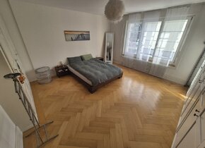 3½ ZI-WOHNUNG IN BERN - SANDRAIN, MÖBLIERT, TEMPORÄR