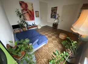 1.5 Zimmerwohnung zur Untermiete von 13.1.-13.2.25