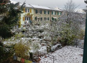 schöne 2-Zimmerwohnung im Breitsch von März - Mai