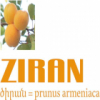 ZIRAN