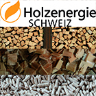 Holzenergie Schweiz