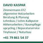 david kaspar