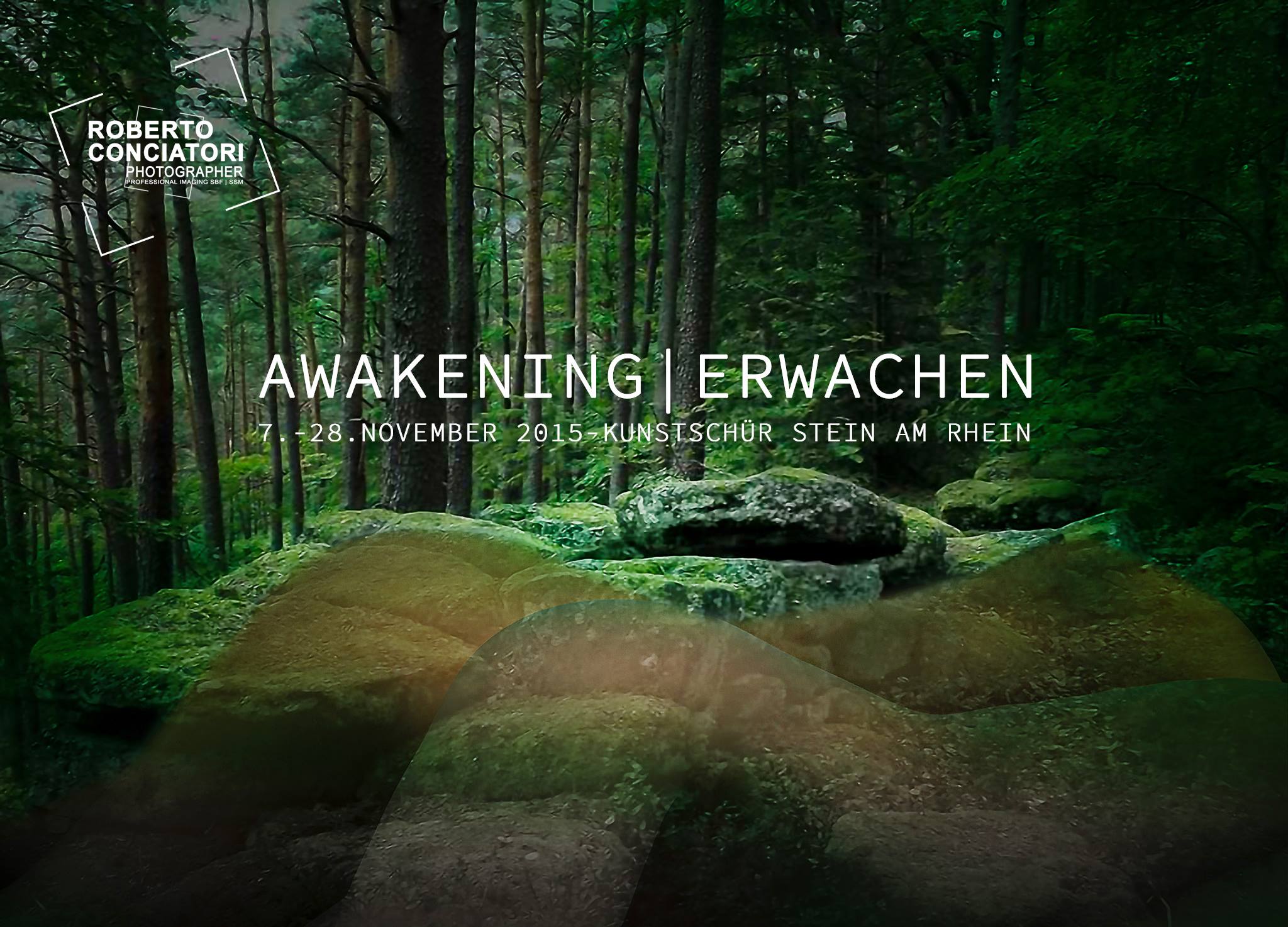 AWAKENING | ERWACHEN